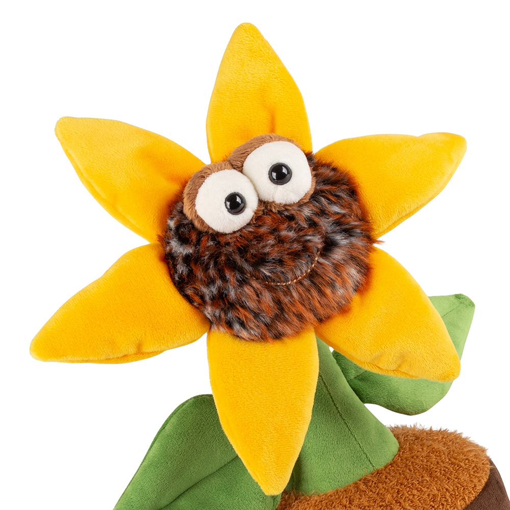 Miss Sunshine 43645 - Image 2