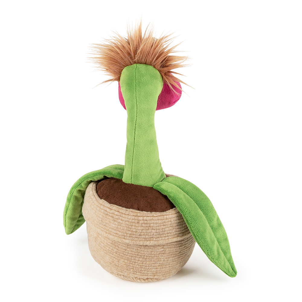 Office Orchid 43648 - Image 6
